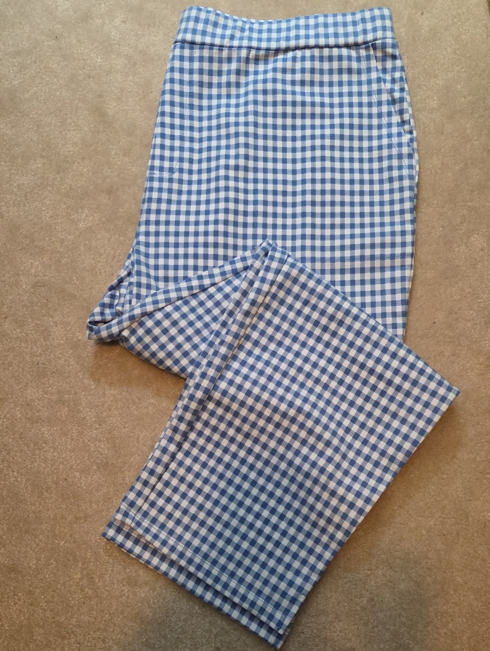 Susan Graver Blue and White Gingham Weekend Pants